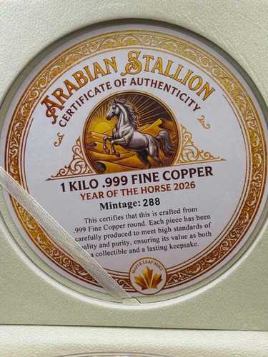 2026 arabian stallion year - 2026,