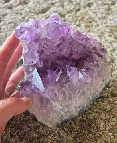 Amethyst crystal cluster 55 - cluster, 2.55