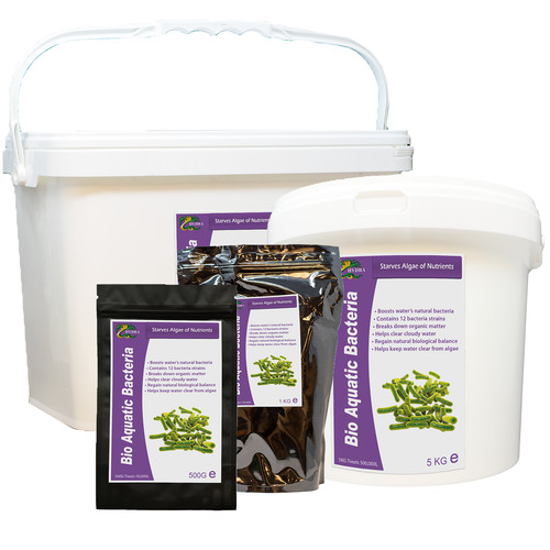 Hydra bio aquatic - hydra,